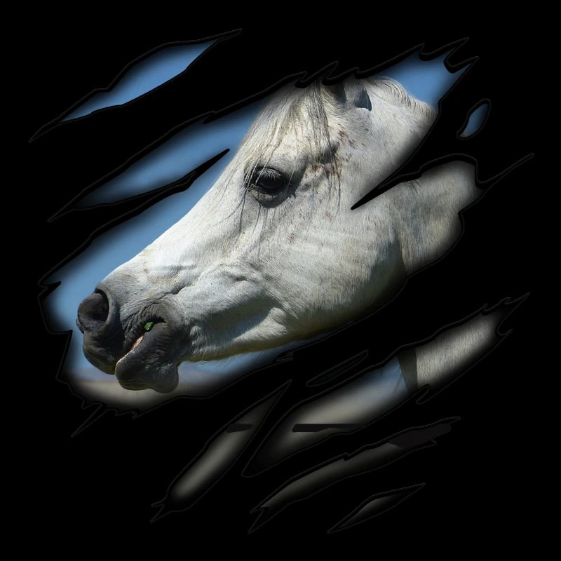 Arabian thoroughbred in me