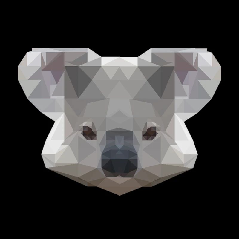 Mr Koala
