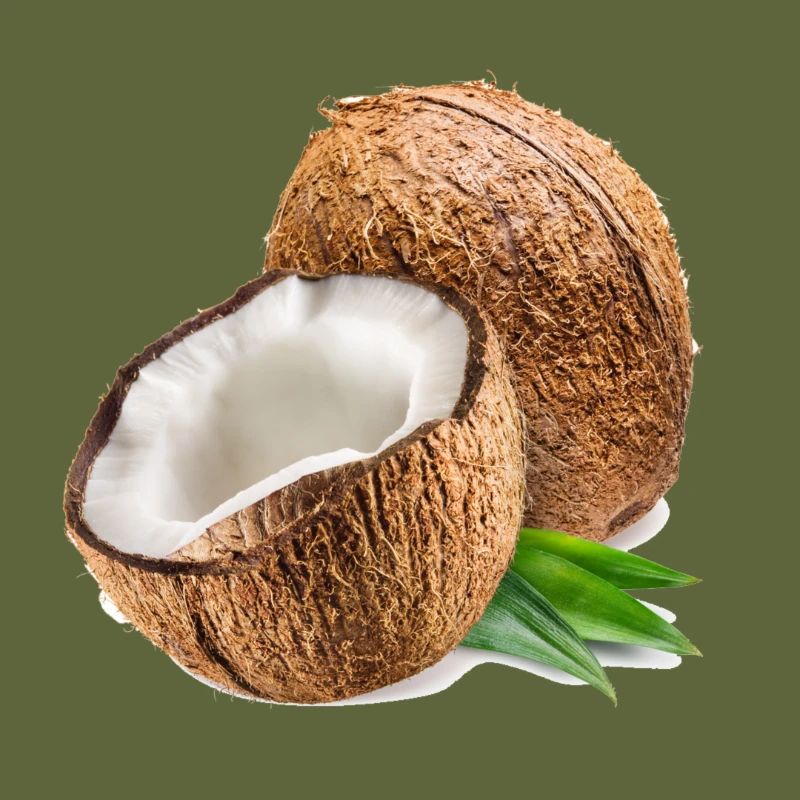 coconut