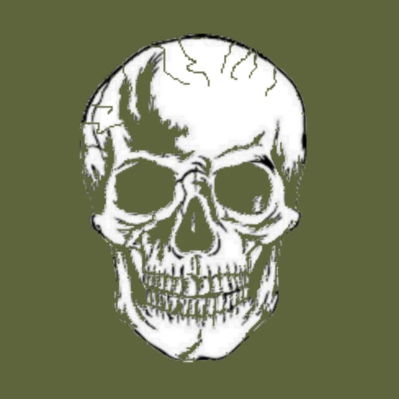 Skull