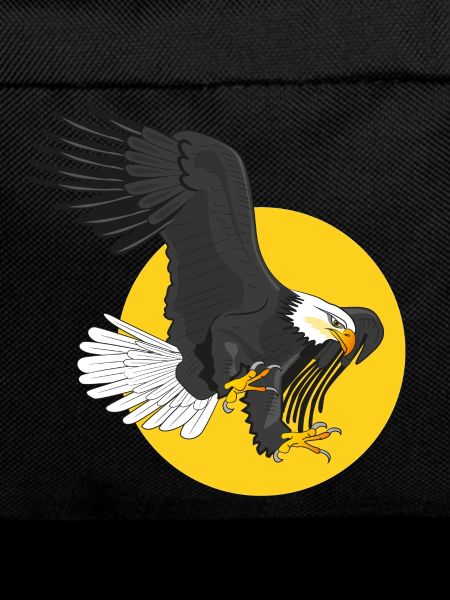 american eagle sun