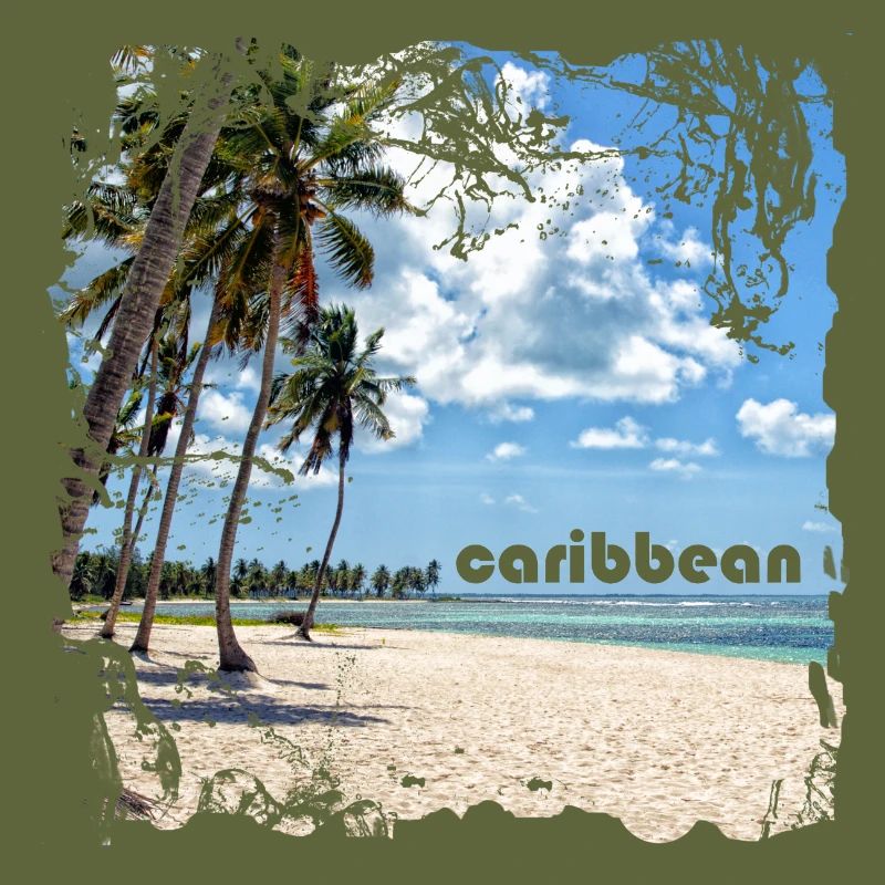 Plage de sable solitaire dans les Caraïbes
