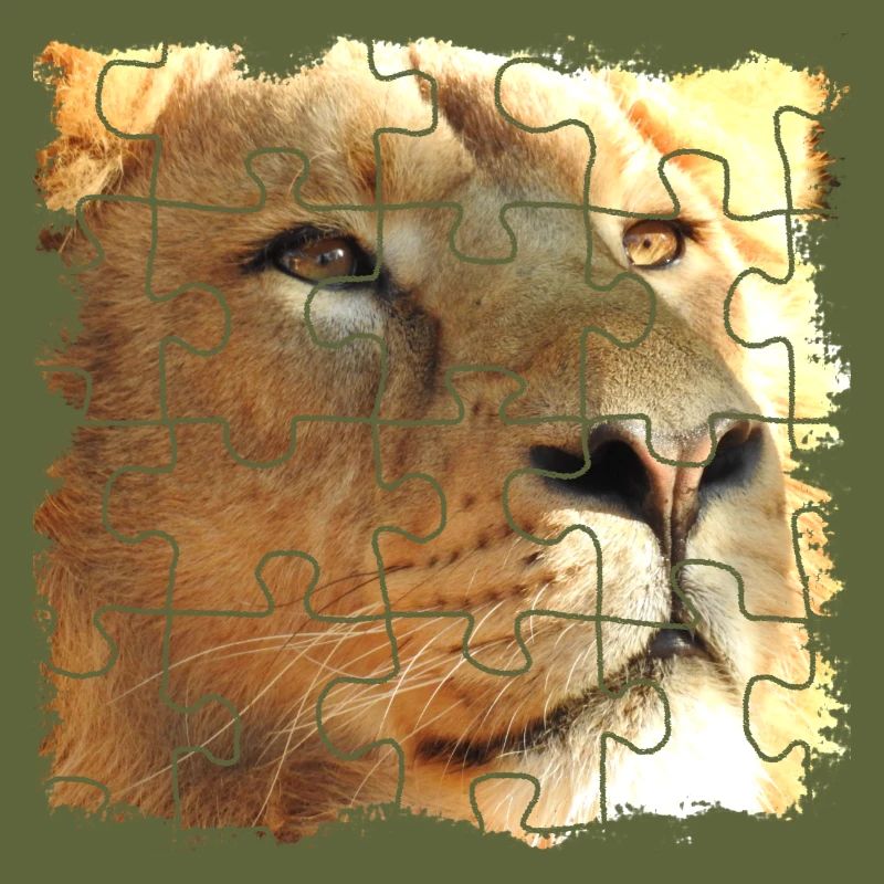 Lion puzzle, symbole de force et de force