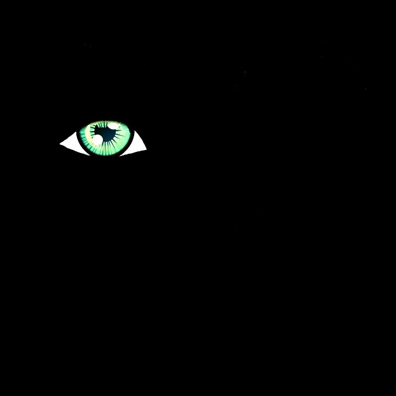 Beauté yeux cils