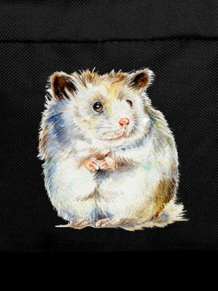 HAMSTER - the hamster