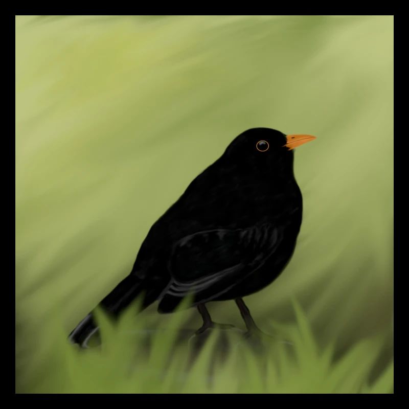 blackbird
