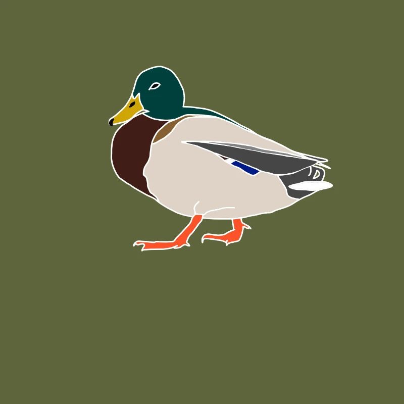 Duck