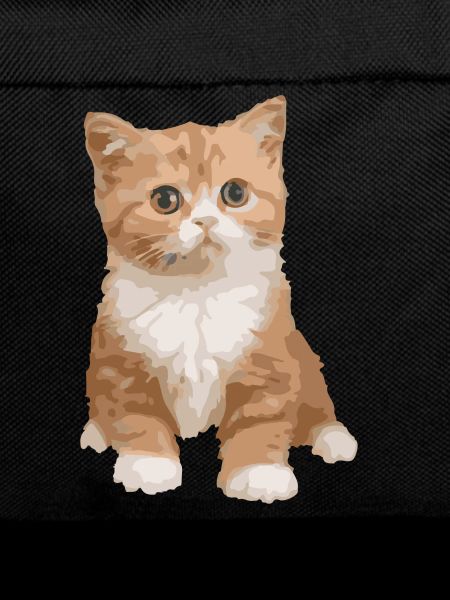 Katze - Katze