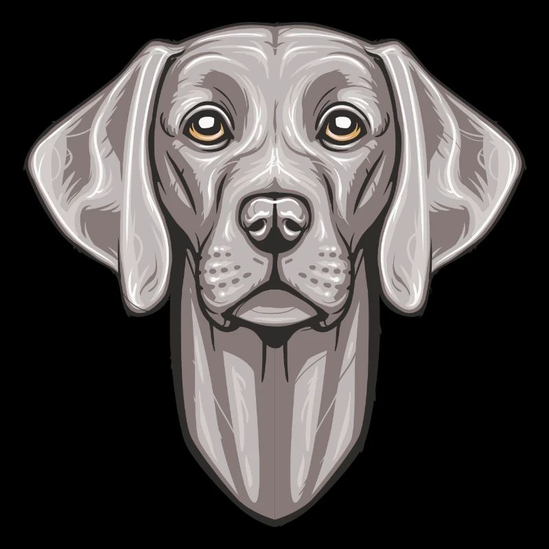 Weimaraner