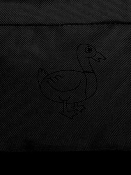 canard