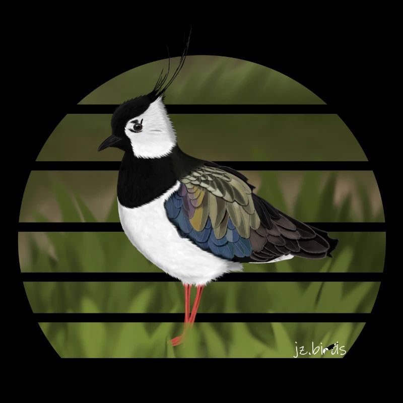 jz.birds Lapwing Bird Design