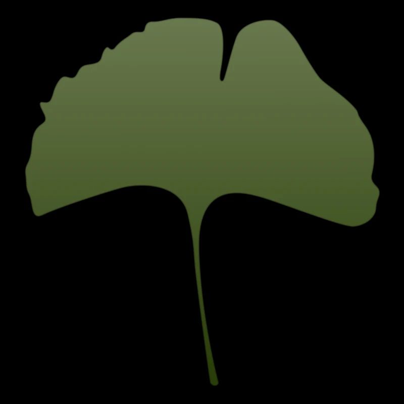 ginkgo