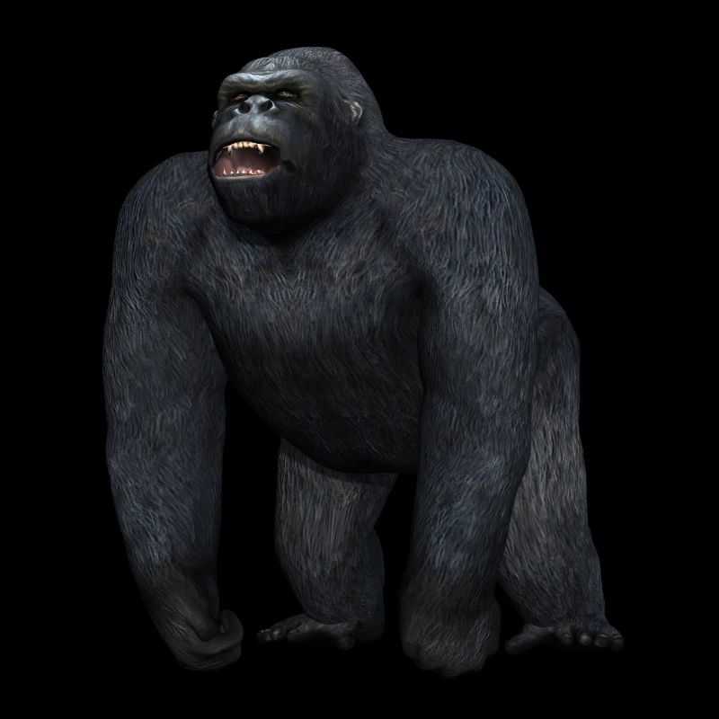 Gorilla in threatening pose