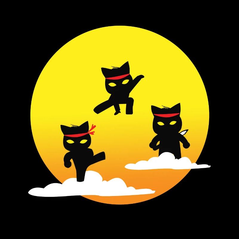 Ninja cats