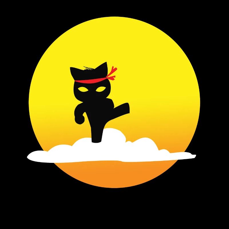 Chats Ninja