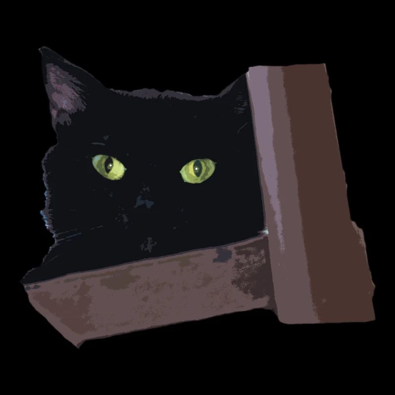 schwarze Katze