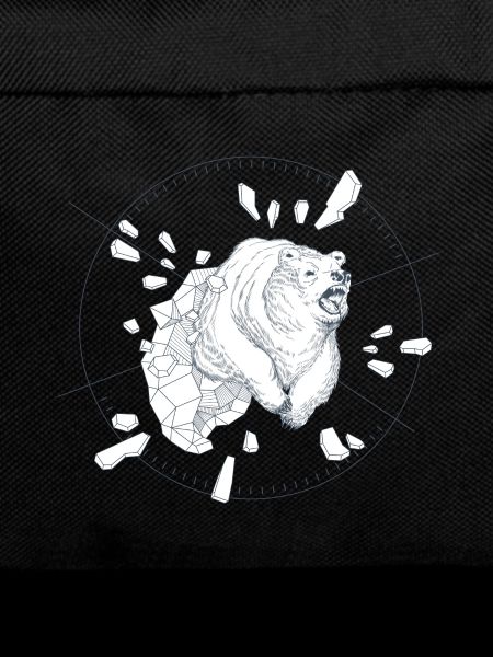 Ice Bear