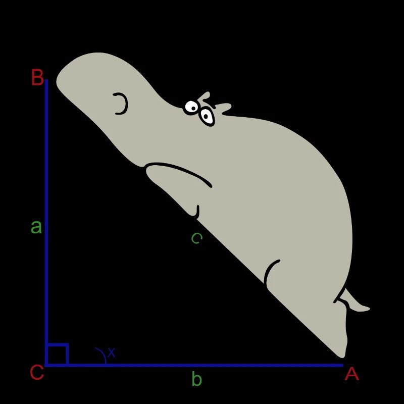 Hypotenuse math humor