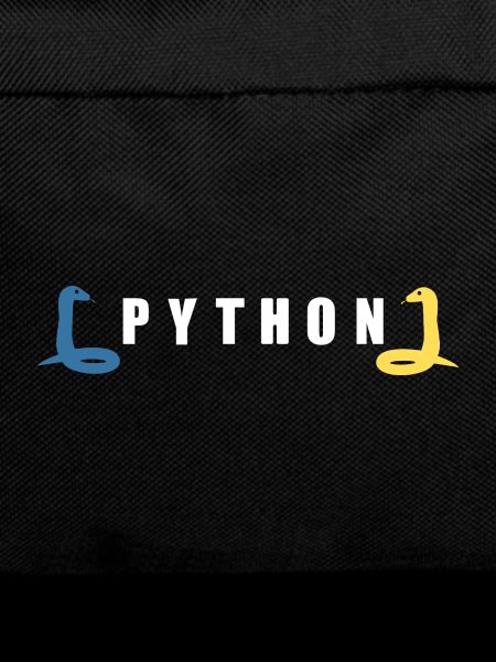 Python Entwickler Programmierer Coder Geschenkidee