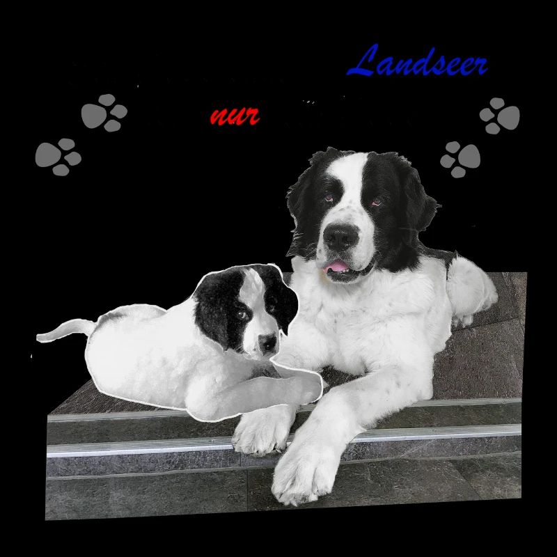 Dog Landseer gift idea