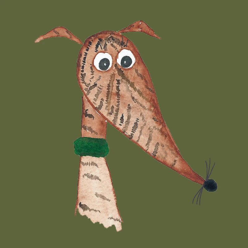 Greyhound red brindle