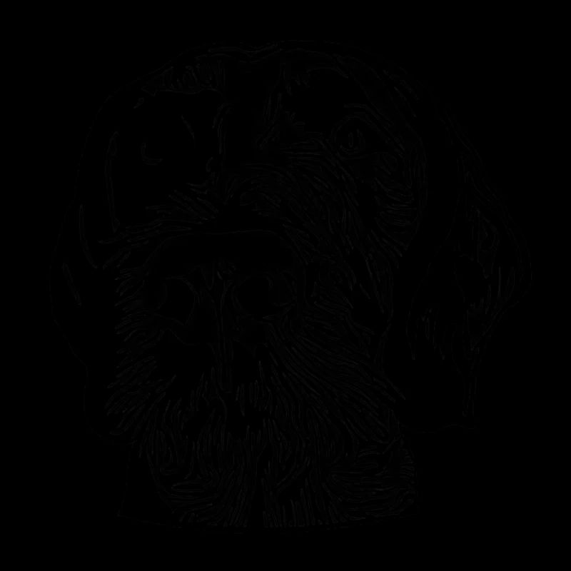 German Wirehaired Pointer