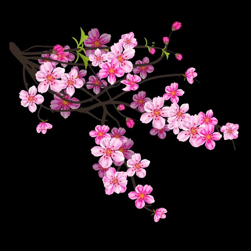 Sakura Blume