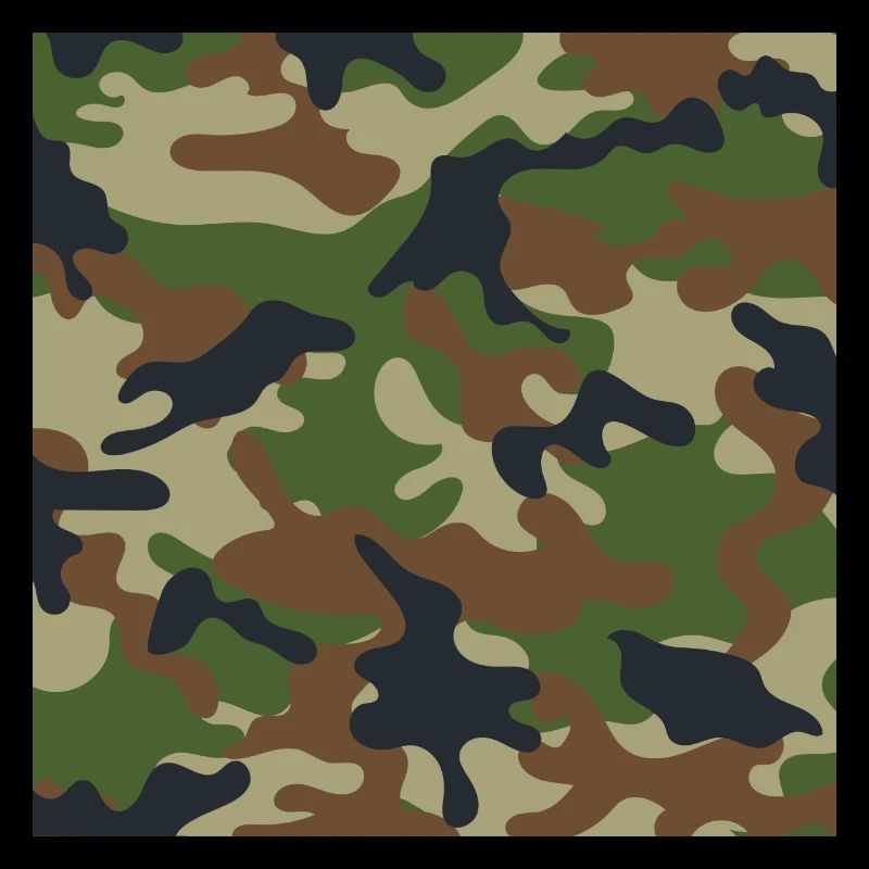 Muster Camouflage Flecktarn