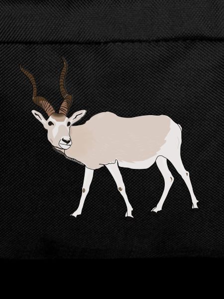 Endangered species addax desert antelope