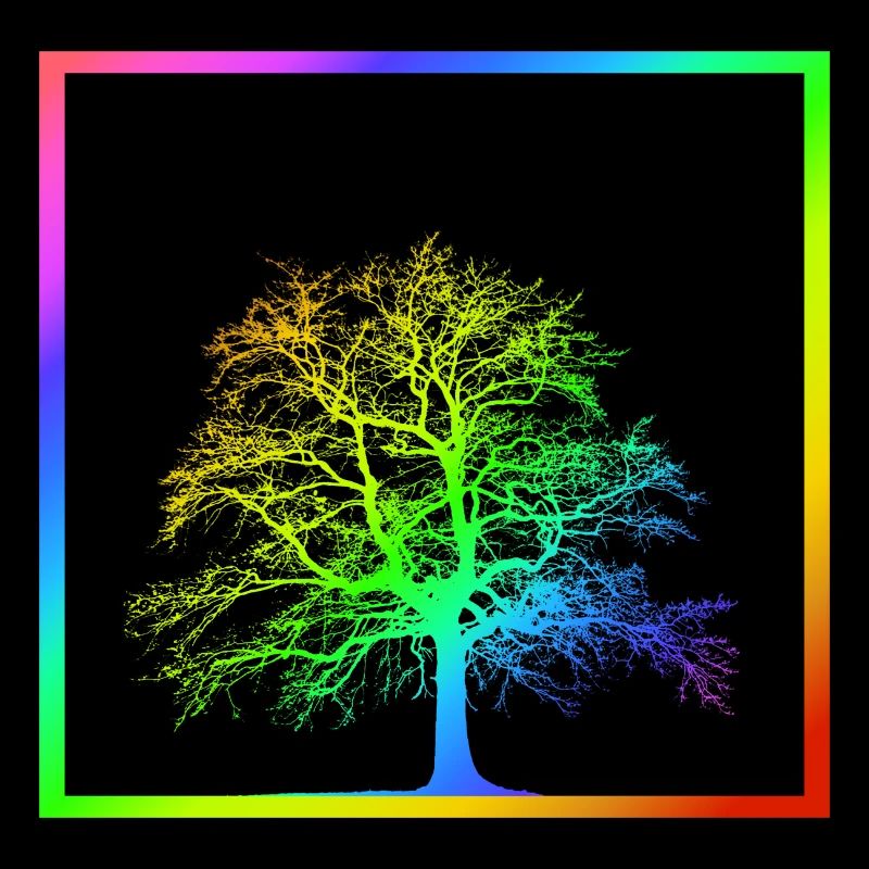 Rainbow tree - tree - nature - LGBT
