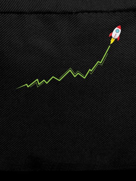 Internet vs. Wall Street Course Rocket To The Moon