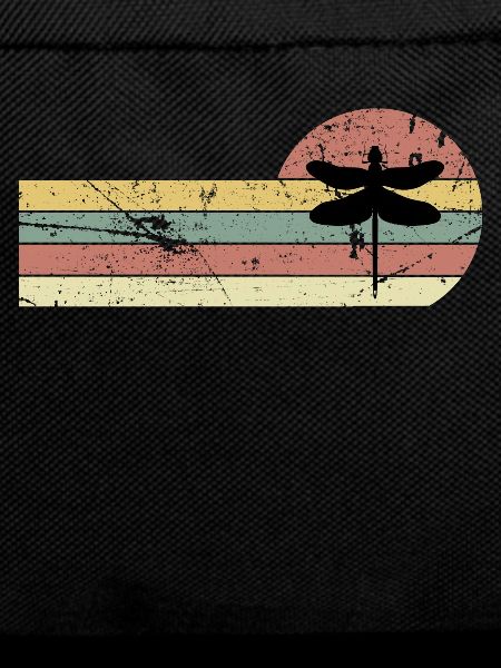 Dragonfly insect nature