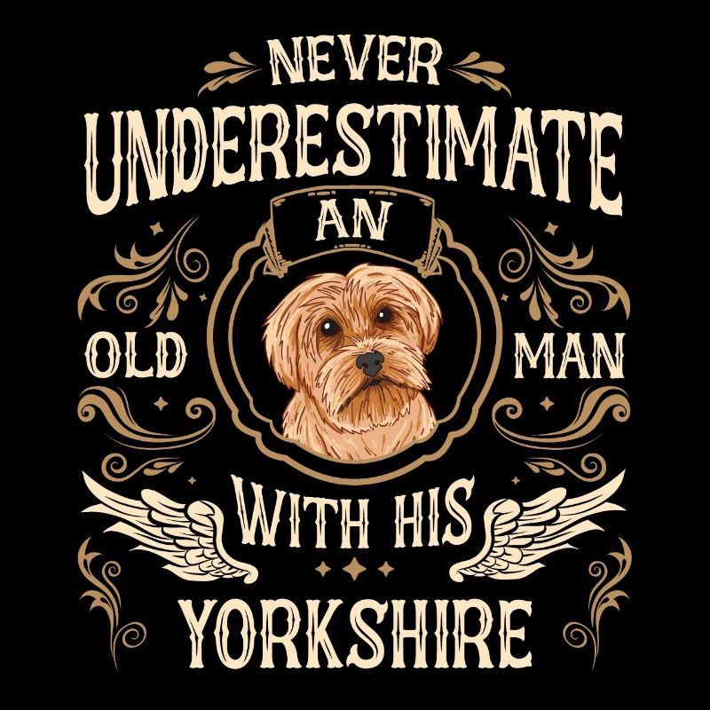 Yorkshire Terrier Hund