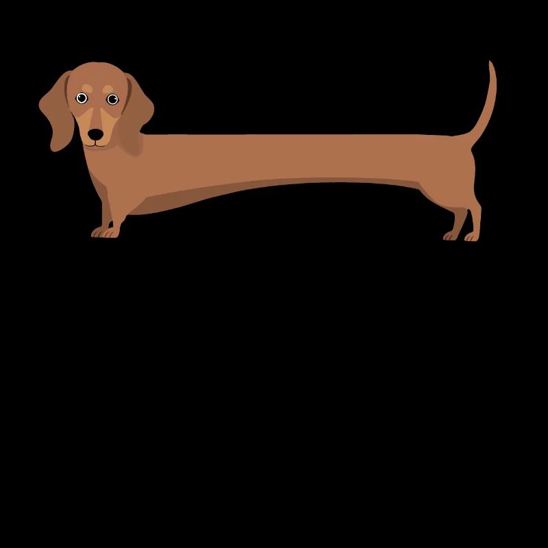 Dachshund with long body