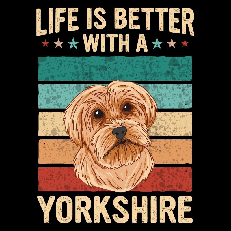 Yorkshire Terrier Hund