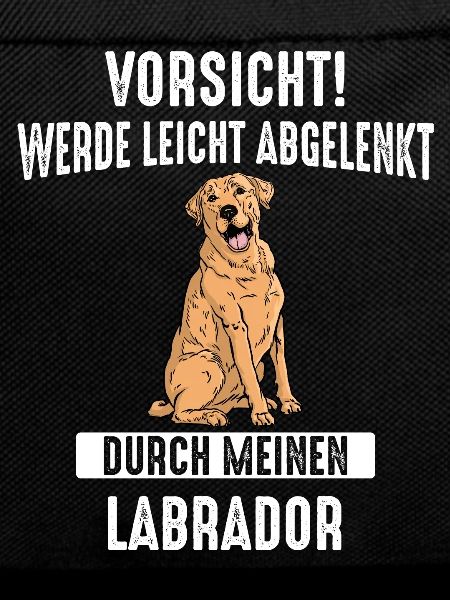 Labrador Hund