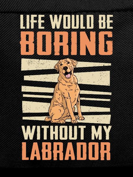 Labrador Dog