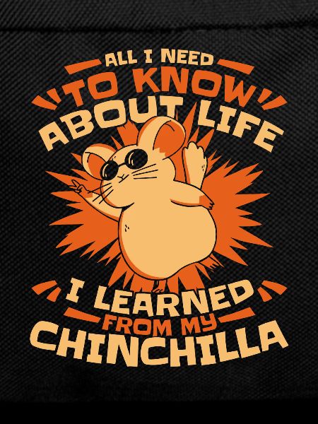 Chinchilla Chinchilla's Mouse