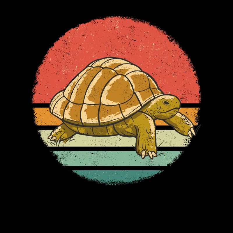 Turtle Sea Turtle Turtle Animal