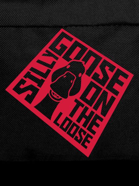 goose on the loose