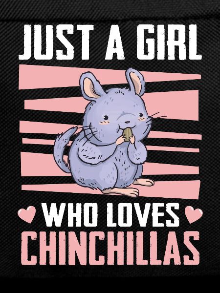 Chinchilla Chinchilla's Mouse