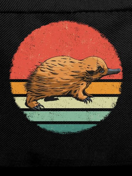 Platypus Animal