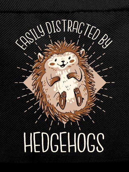 Hedgehog Spiny Animal Hedgehog