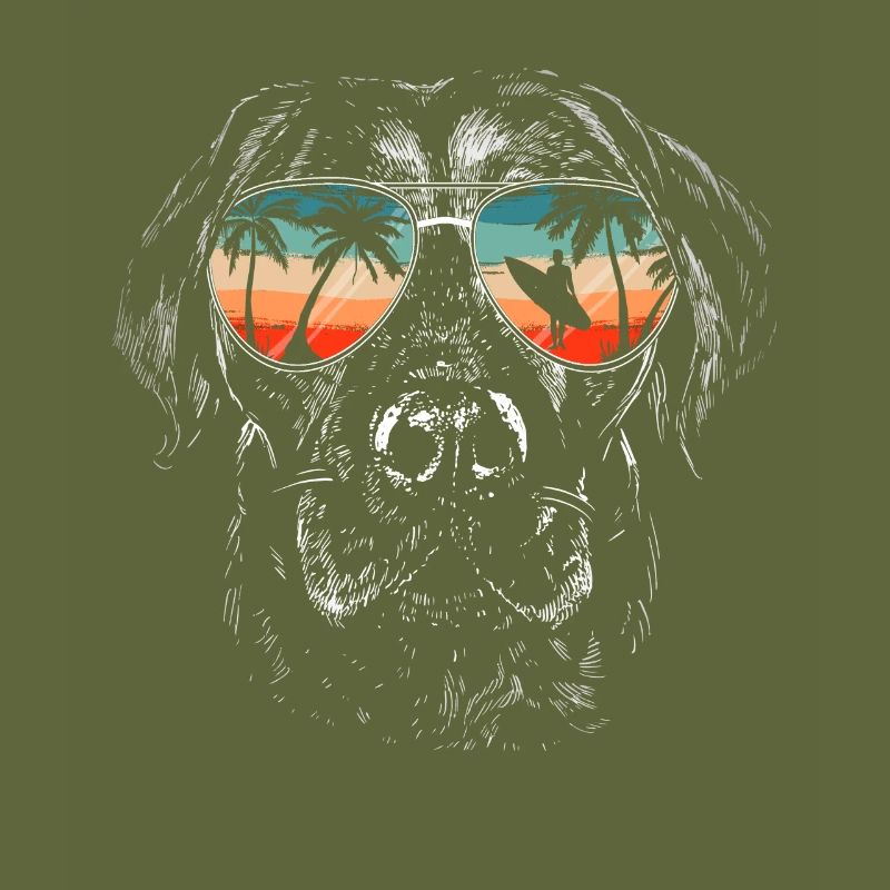Labrador dog