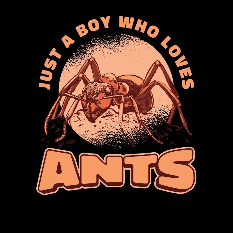 Ants insects ant