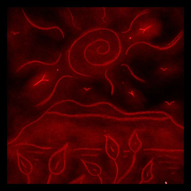 RED NIGHT LANDSCAPE