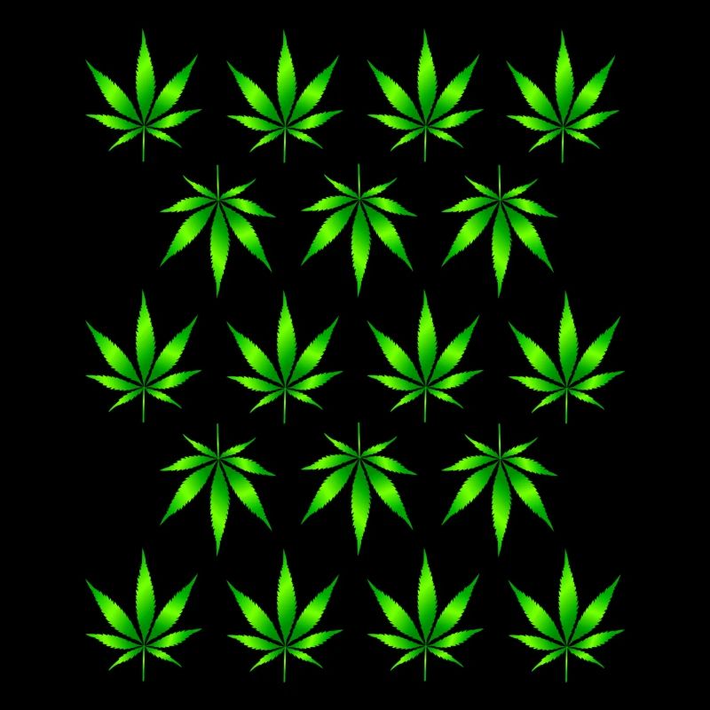 Cannabis