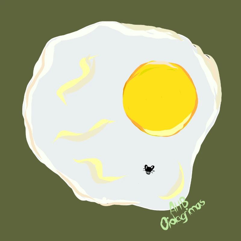 FRIED EGG v fly
