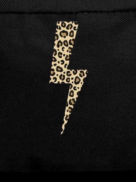 Leopard Lightning Big Cat Africa