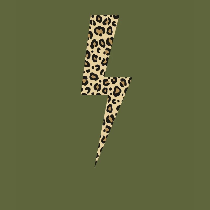 Leopard Lightning Big Cat Africa